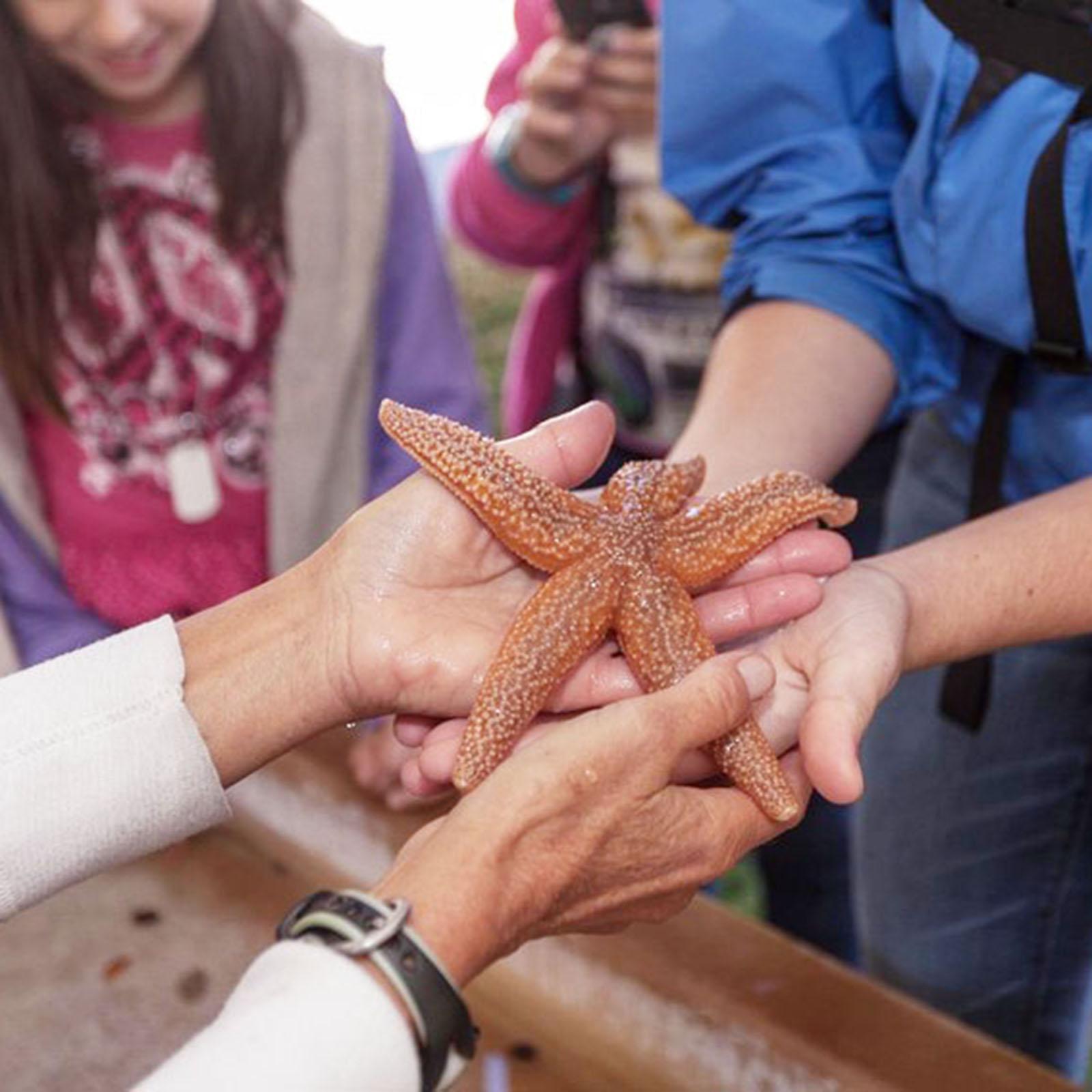 Ocean Discovery Day: Public Open House